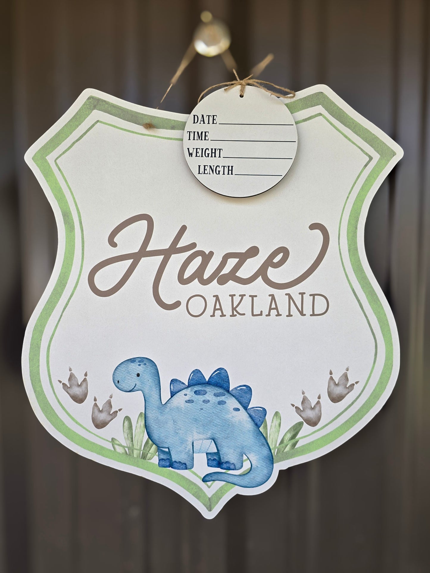 Dinosaur Crest Hospital Door Hanger