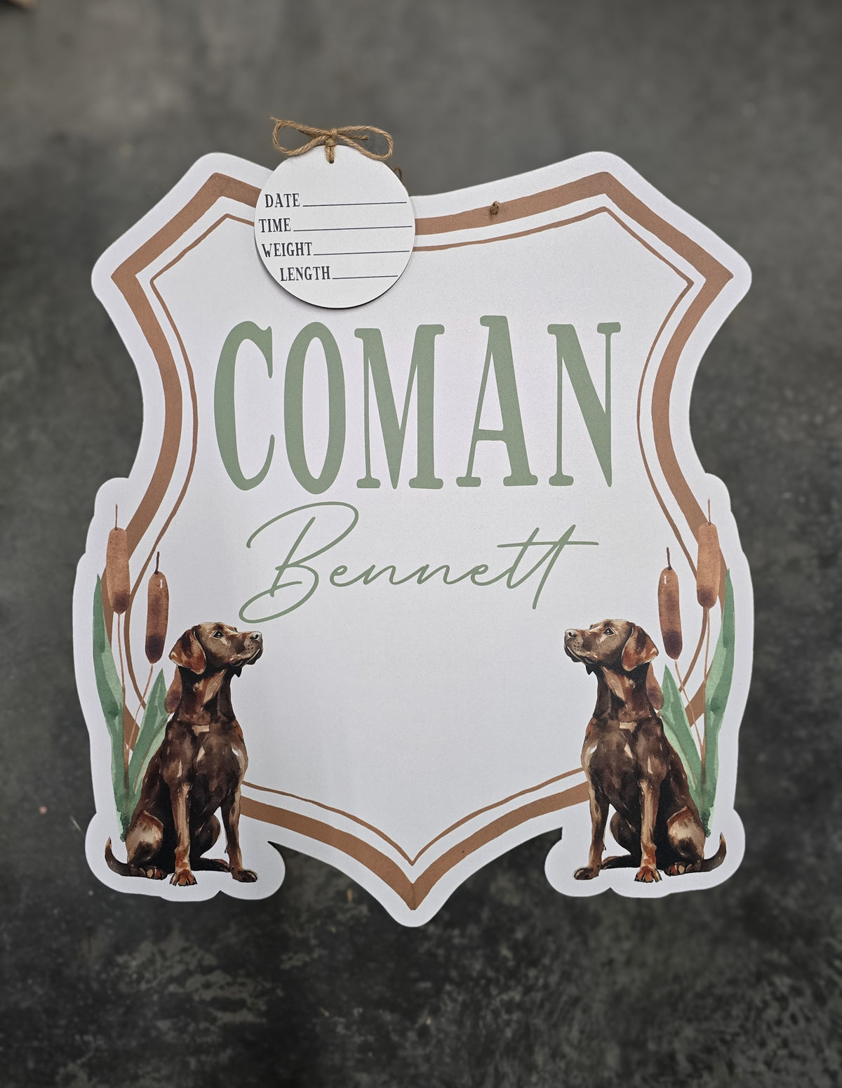 Chocolate Lab Crest Hospital Door Hanger
