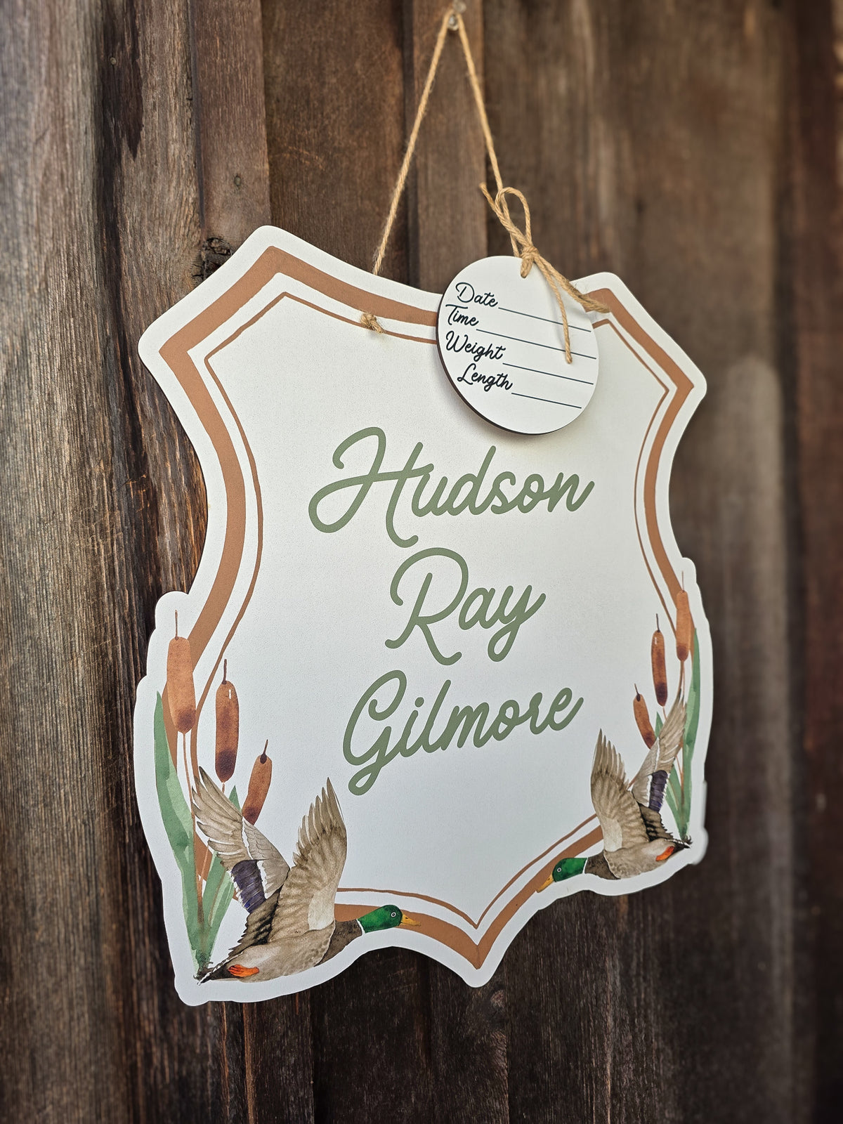 Brown Mallard Duck Hospital Door Hanger