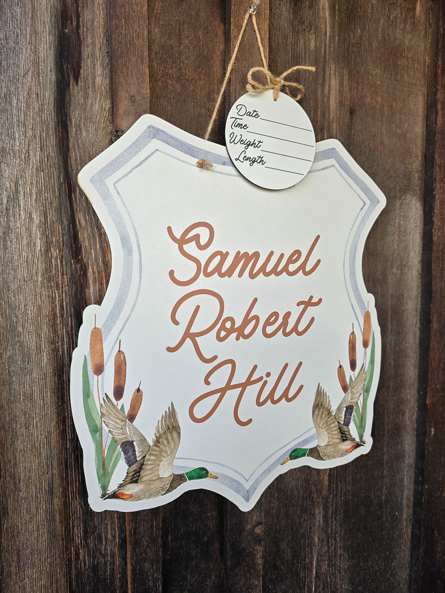 Blue Mallard Duck Hospital Door Hanger
