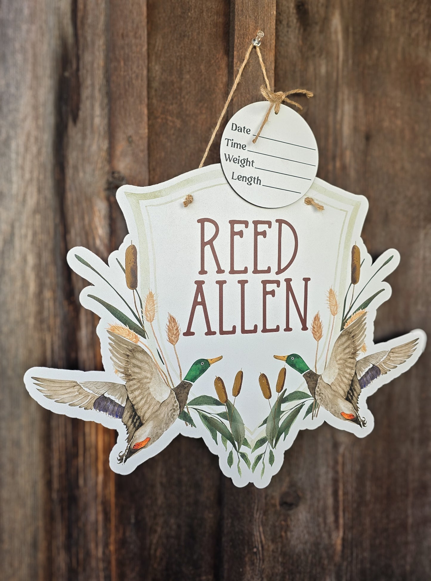 Duck Gingham Hospital Door Hanger