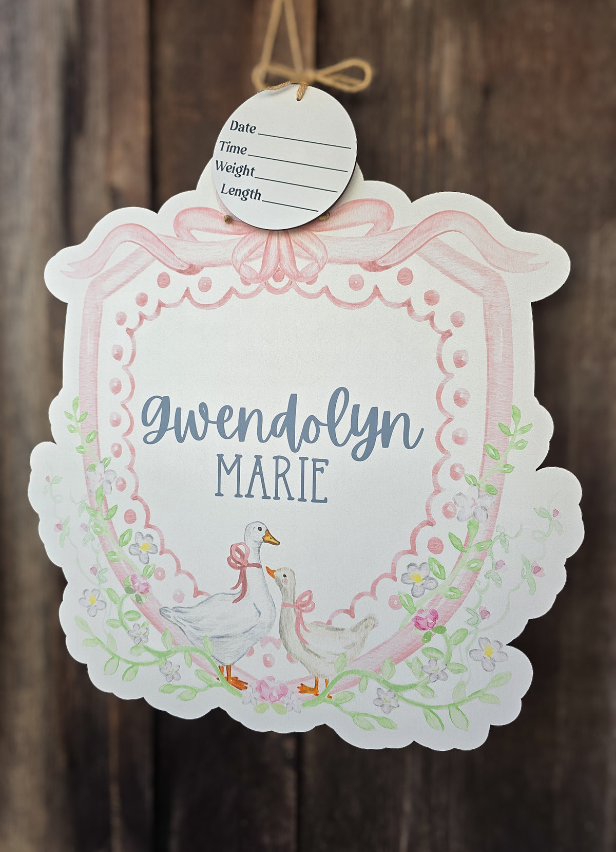 Soft Pastel Goose Hospital Door Hanger