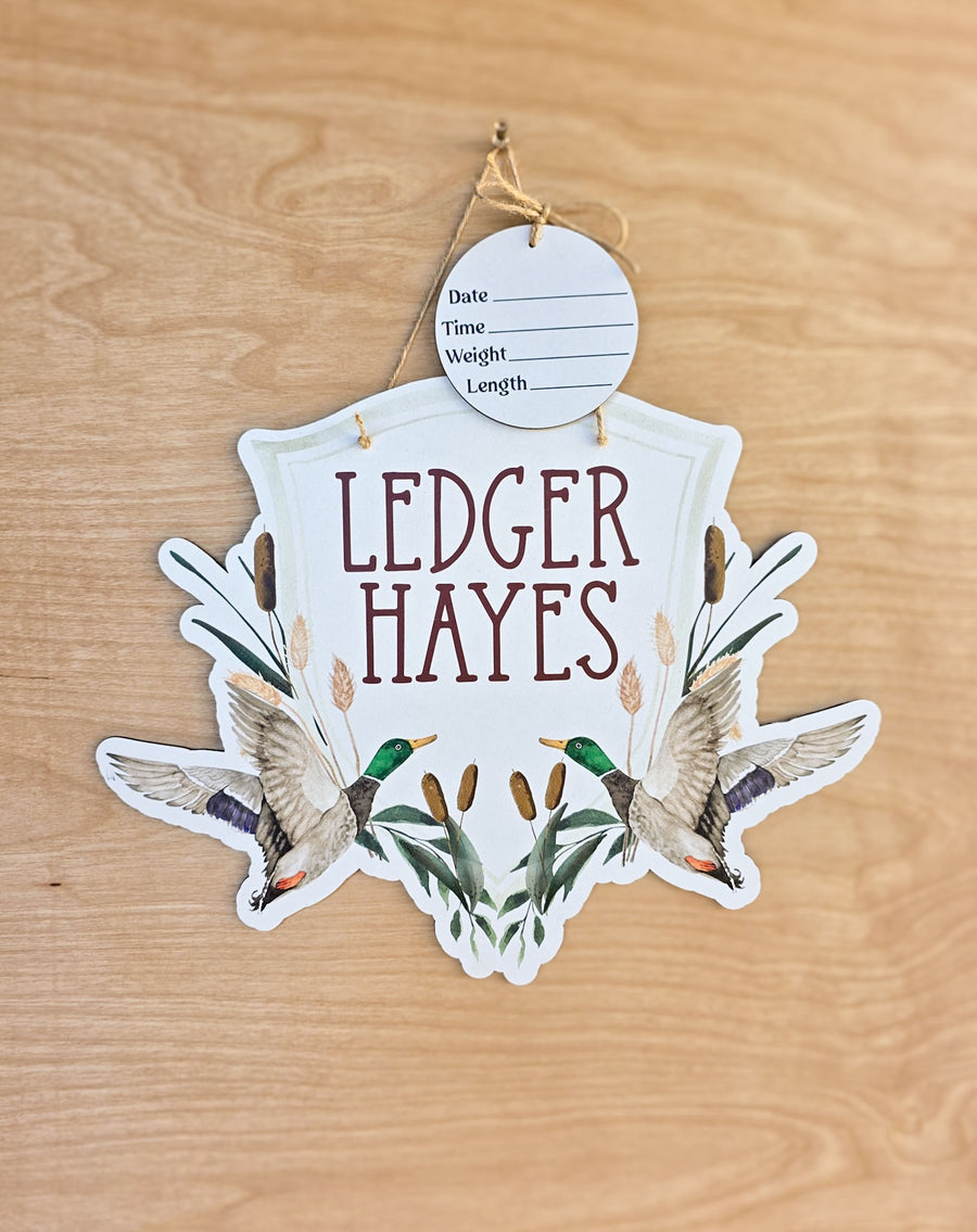 Personalized Duck Gingham Hospital Door Hanger | Baby Name Sign