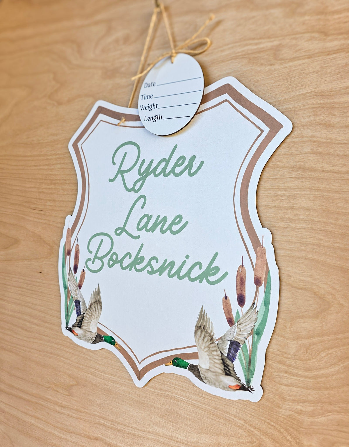 Personalized Brown Mallard Duck Hospital Door Hanger | Baby Name Sign